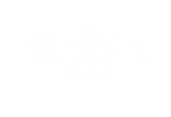 Servis Bobić